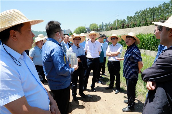 陜西環(huán)保集團復工復產促增長項目觀摩會議與會人員走進環(huán)保保隆生態(tài)三秦在延在銅項目